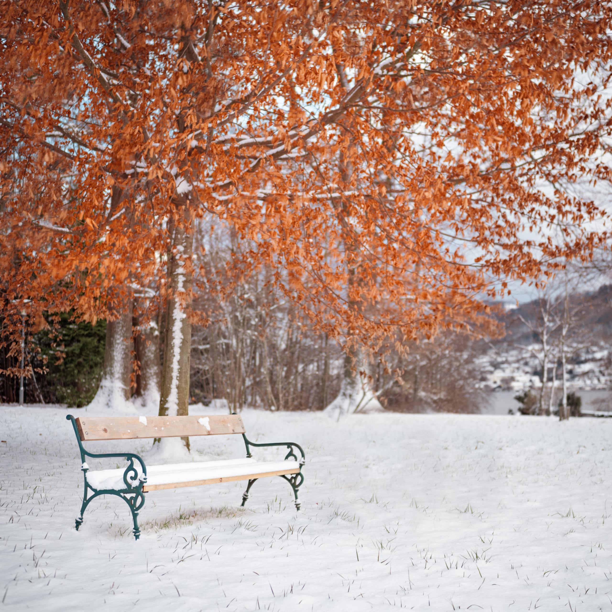 Snowstorms and Senior Safety